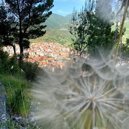 Casa- Vacanza Giro' Aieta Esterno foto