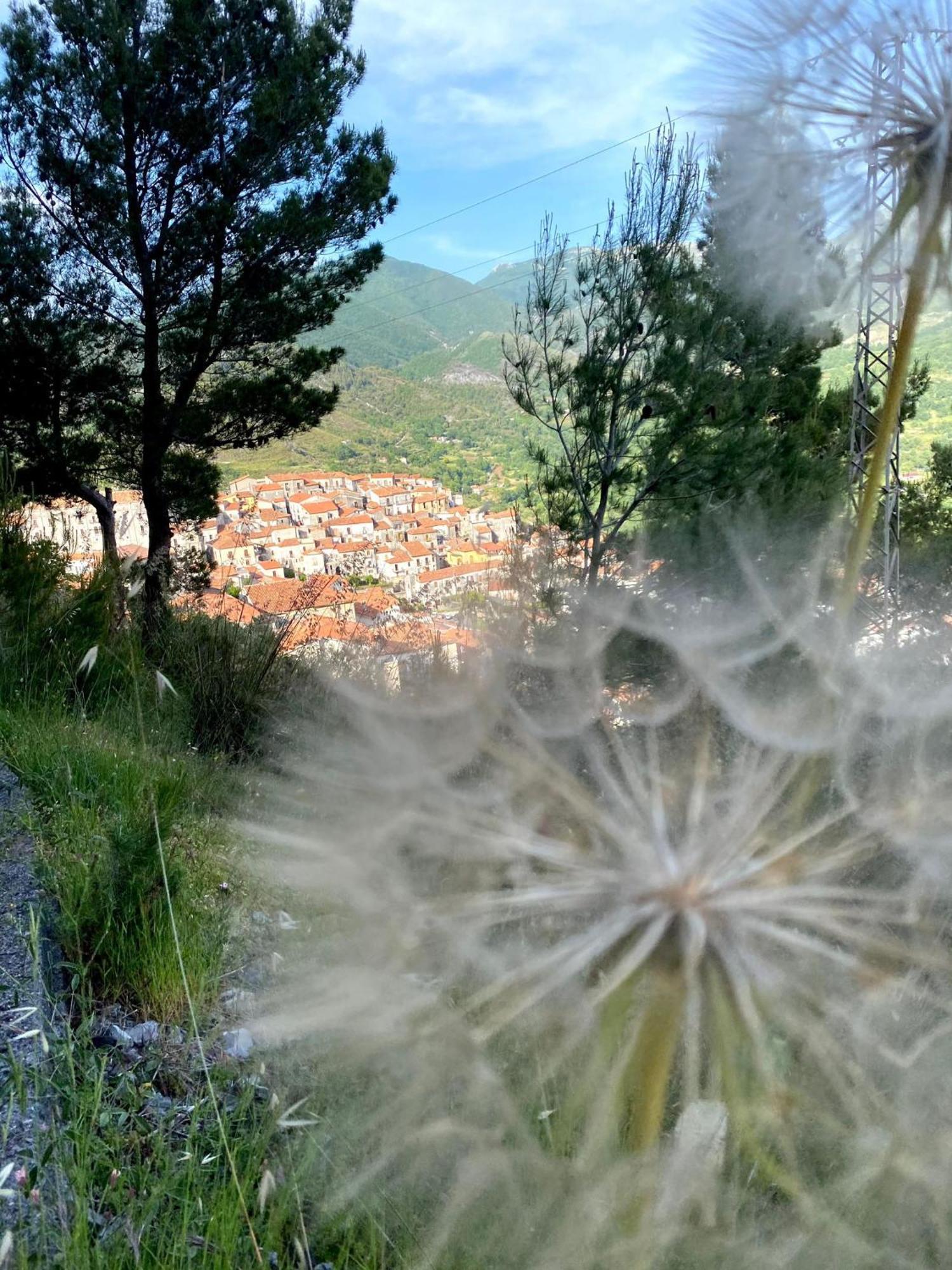 Casa- Vacanza Giro' Aieta Esterno foto